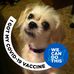 Denise Singleton - Facebook