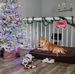 Denise Slade - Facebook