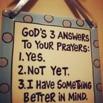 Denise Slade-Foster - @denisesladefoster - Instagram