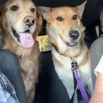 Denise Slagle - Facebook