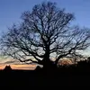 Denise Slaughter - @denise.slaughter4 - TikTok