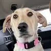 Denise Slaughter Jons - @denise.slaughter - TikTok