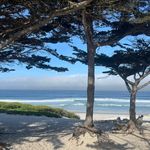 Denise Smart - @smartma - Instagram