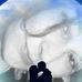 Denise Snook - Facebook