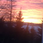 Georgia - @denise.snook72 - Instagram