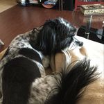 Denise Solis - @dfs52 - Instagram