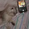 DeniseSoto - @sierrstwsvx - TikTok