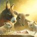 Denise Springer - Facebook