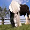 Denise.spa - @denise.spa - TikTok