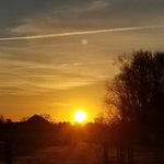 Denise Spaulding - @1tarheelfanz - Instagram