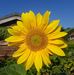 Denise Speed - Facebook