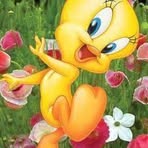 Denise Spight - Facebook