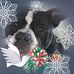 Denise Spinelli - Facebook