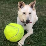 Denise Spohn - @momspohn - Instagram