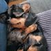 Denise Spratt - Facebook