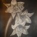 Denise Spratt - Facebook