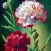 Denise Springer - Facebook