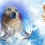 Denise Spry - Facebook