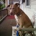 Denise Standard - Facebook