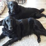 Denise Staples - @staples8092 - Instagram