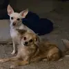 Denise DeBoer-Starkey - @denise.deboerstar - TikTok