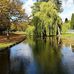 Denise Statham - Facebook