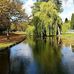 Denise Statham - Facebook