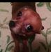 Denise Staton - Facebook