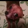 denisestaton733 - @denisestaton733 - TikTok
