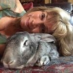 Denise St. Clair - @st_clair_art_studio - Instagram