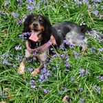 Denise Welstead - @denisewelstead - Instagram