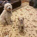Denise Fleming Steck - @deniseflemingsteck - Instagram