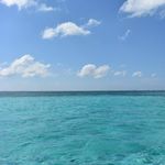Denise Khodl Steck - @dsteck616 - Instagram