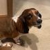Denise Stein - Facebook