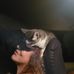 Denise Steins - Facebook