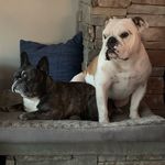 Denise Steinmann - @dsteinm1 - Instagram