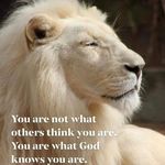 Denise Stennette - @denisestennette - Instagram