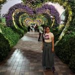 Denise Stephens - @denise.stephens.52459 - Instagram
