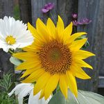 Denise Stephens - @maggiesmom1027 - Instagram