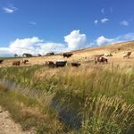Denise Stern - @dsfollow2023 - Instagram