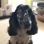 Denise Storey - @dstorey459 - Instagram