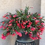 Denise Stout - @denise.stout.79 - Instagram