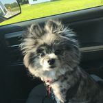 Denise Stowell - @dallygirl1 - Instagram