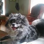 Denise Stowell - @nosey_me_ - Instagram