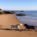 denise strang - @denisestrang49 - Instagram