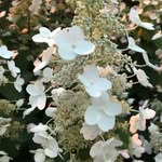 Denise Strang - @denise.strang - Instagram
