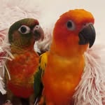 Darko... Fringilla... &... Kiannah - @striker.denise - Instagram
