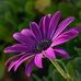 Denise Stroh - Facebook