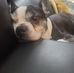 Denise Strom - Facebook