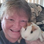 Denise Stromer - @denisestromer - Instagram